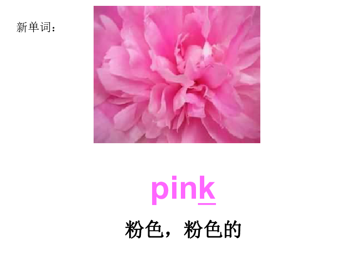 unit 2 how many pink balls? 课件 (20张ppt)