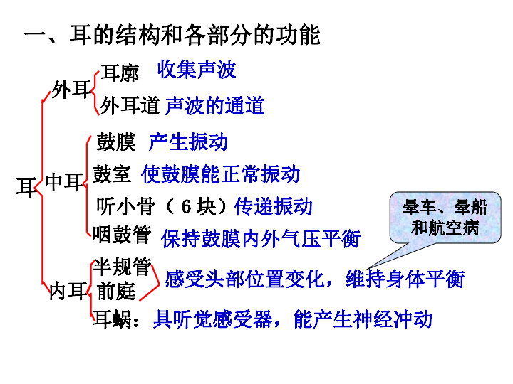 第3节 耳和听觉第1课时认识耳朵的结构外耳包括 中耳包括 内耳包括