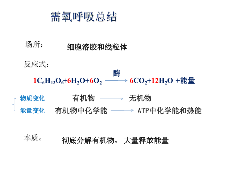 憋气1分钟什么水平