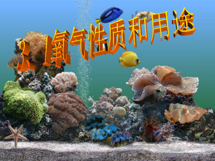 c8a8d0217650be736e8ee6215016b1a6.png