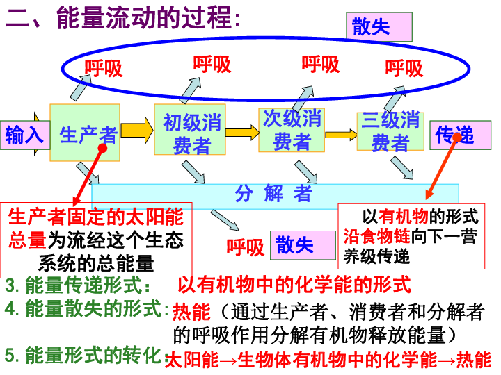 2 生态系统的能量流动 (共35张ppt)