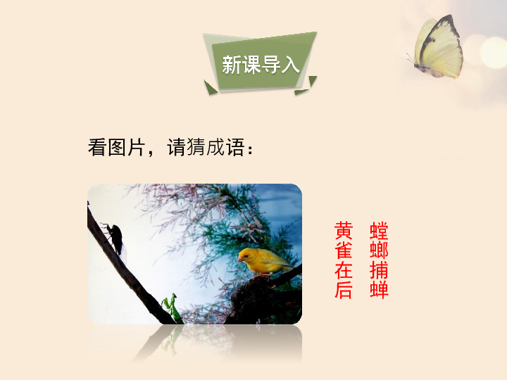 鹅和雀的图片猜成语_鹅和鸭子的区别图片(3)