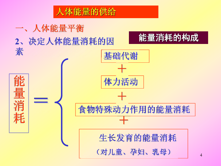 苏教版七下生物 10.5人体能量的供给 课件(19张ppt)