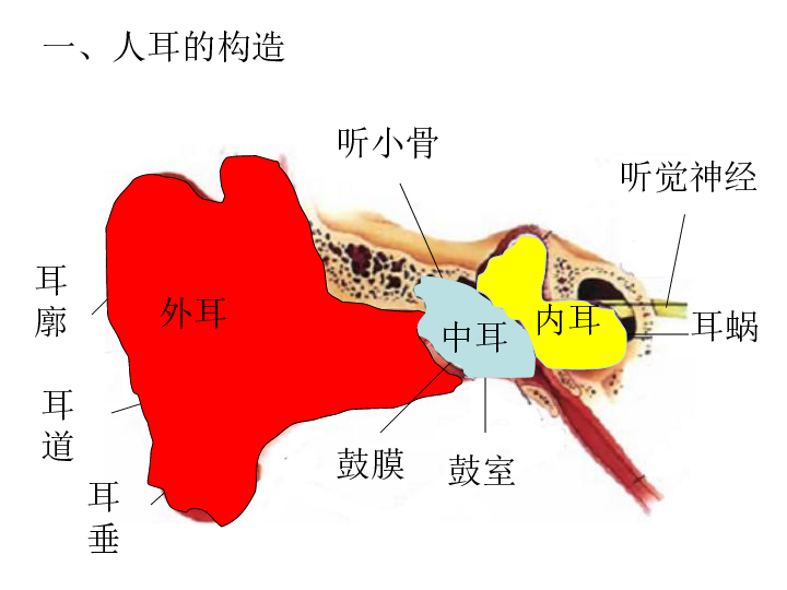 二耳其总人口(3)