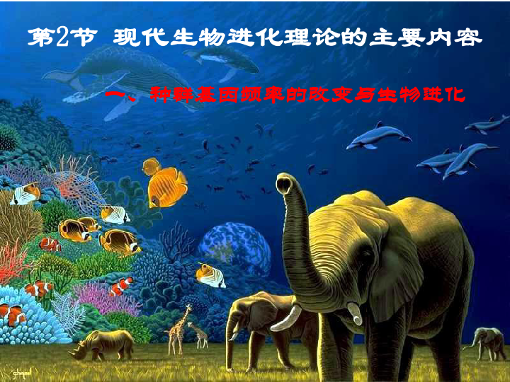 昆虫情景短剧,昆虫情景短剧视频