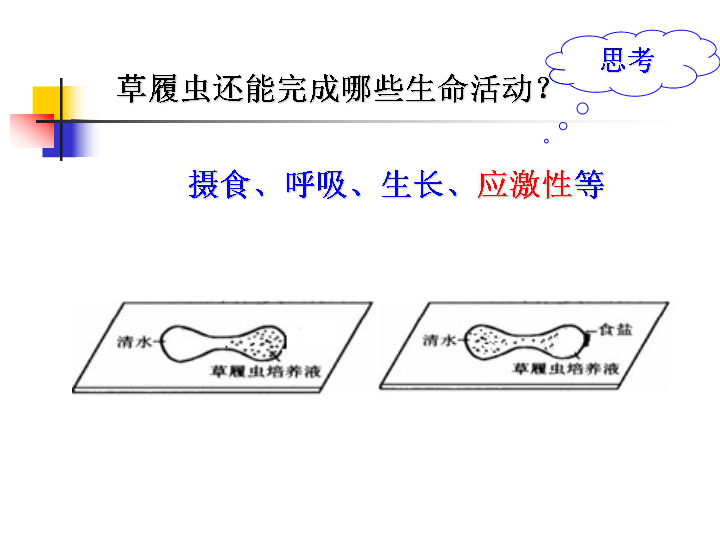 高一人口笔记_高一地理人口思维导图(3)