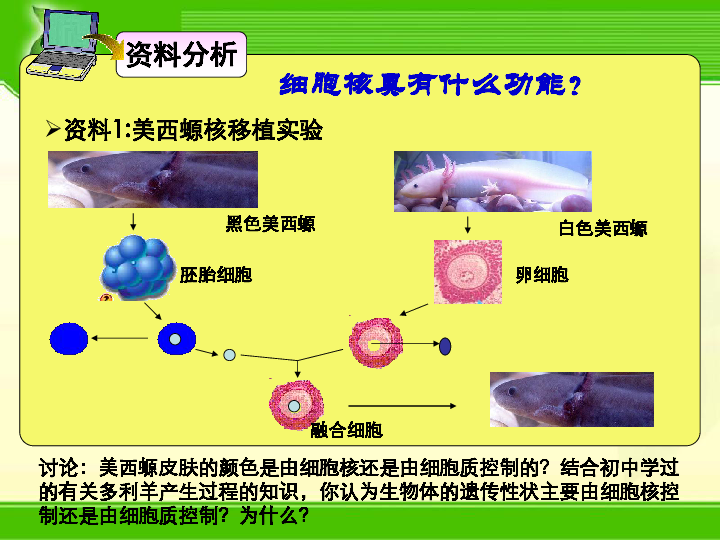 绥江多少人口_绥江新城照片(2)