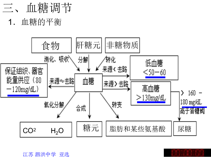 血糖调节-公开课课件ppt