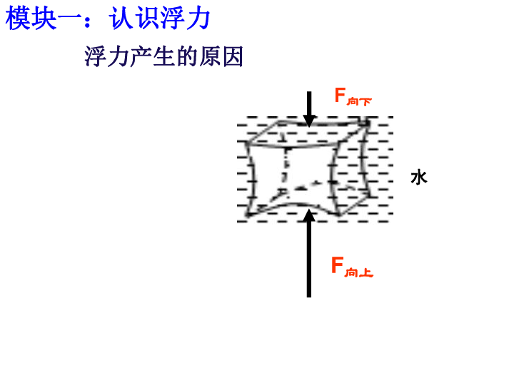 知道浸在液体中的物体要受到浮力的 作用,知道浮力产生的原因; 2.