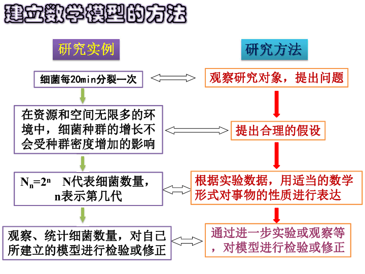 数学建模 人口增长_数学建模(3)