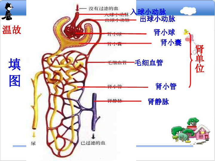 七年级生高清