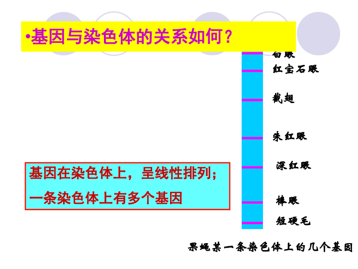 亚瑟王基因人口数量_黑化亚瑟王图片(3)