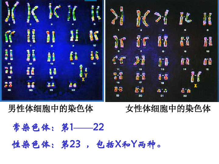 正确的人口观是什么_...清北互掐 再谈正确择校观(2)