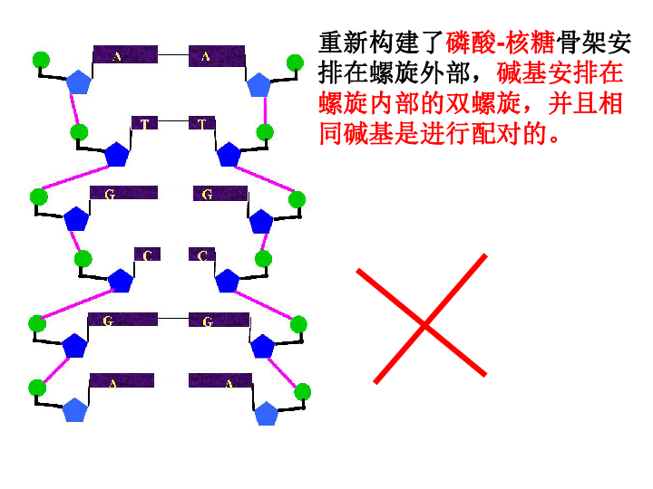 人口结构定律_墨菲定律图片(2)