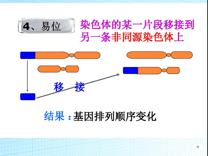 孟德尔的遗传定律_孟德尔遗传定律教案范文_孟德尔遗传定律图解