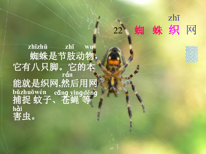 蜘蛛网猜成语是什么成语_疯狂猜成语蜘蛛网下面四个黑色的蹄子印 图文攻略