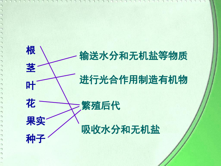 杏岺镇人口_志丹县杏河镇沙湾村