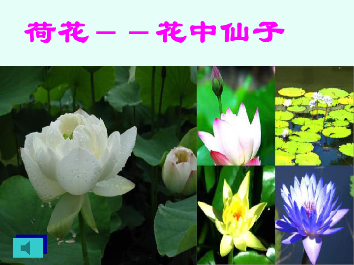 ddccbfaaf53d63d3677f0b7afaa416b2.png