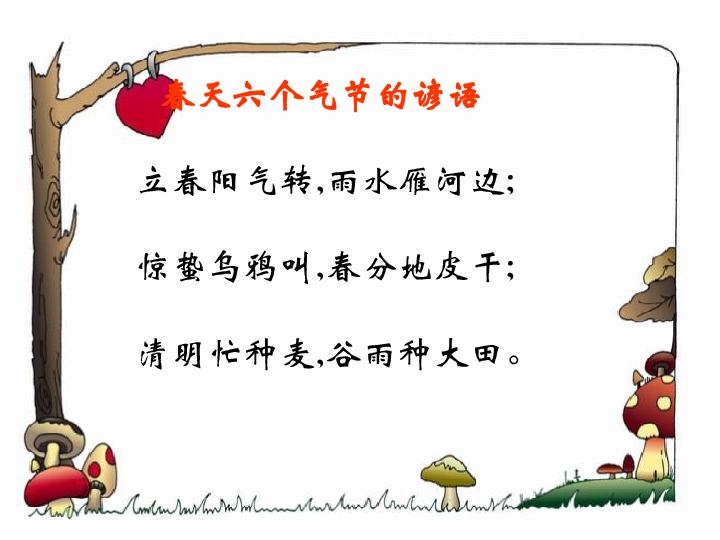什么露什么芒成语_六芒盾通庆手链是什么(3)