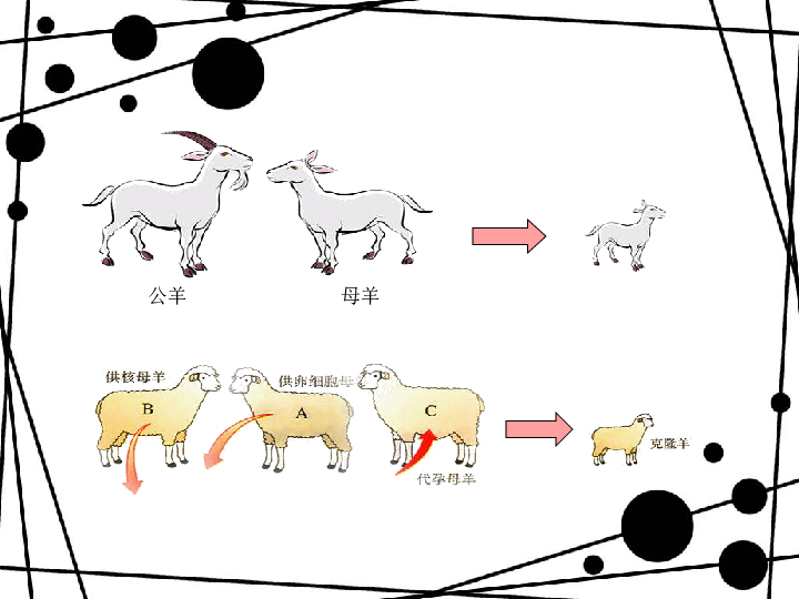 克隆技术的利与弊