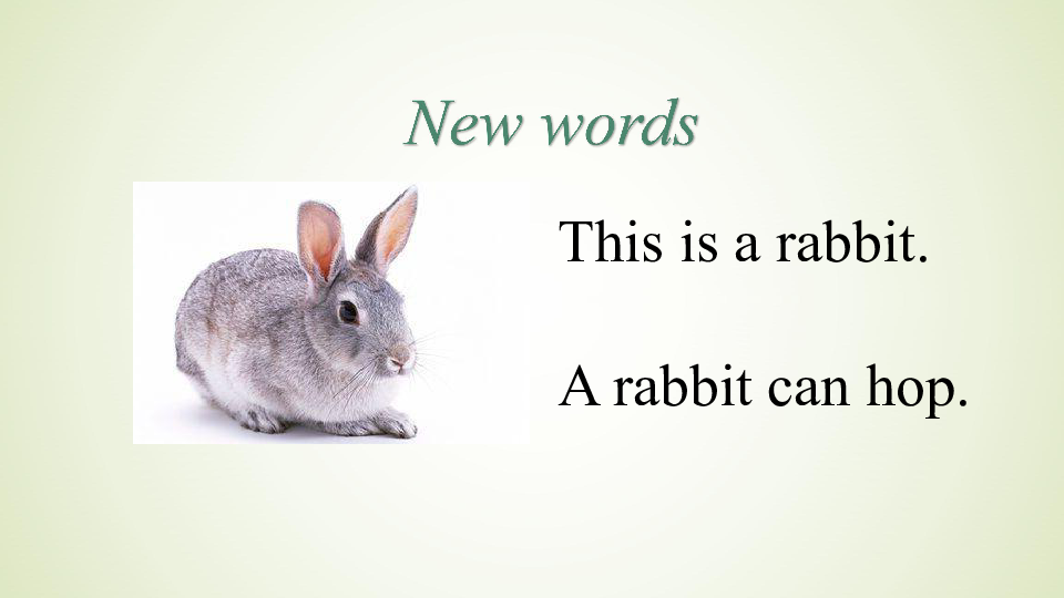rabbit hop,rabbitcartoon unit 2 lesson 8 what can they do 课件 (14张ppt)