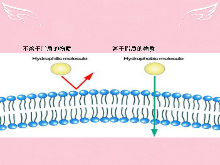 流动人口问题教学课件_第二节 人口迁移与人口流动课件 第二节 人口迁移与人(3)