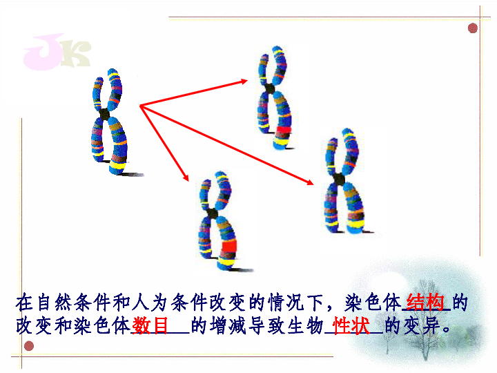 孟德尔的遗传定律_孟德尔遗传定律图解_孟德尔遗传定律教案范文