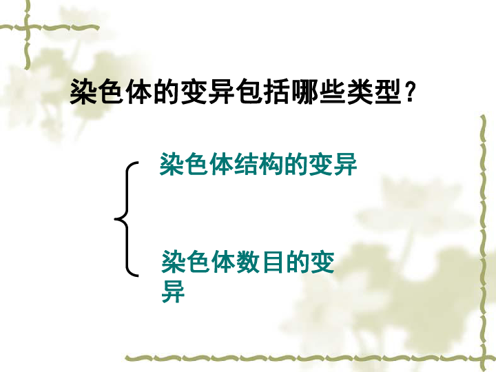 人教版高中生物必修二第五章第二节染色体变异课件 (共41张ppt)