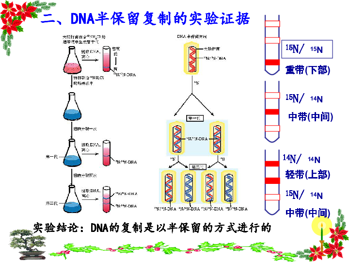 迦拉克隆人口比例_十区迦拉克隆又出名人了,大家快来看呀(3)