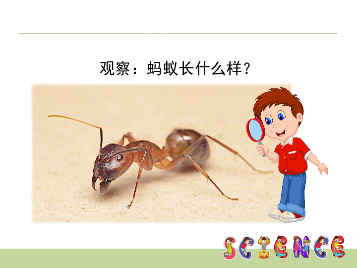 e408ef01455f9999fc1fde350411e97e.png