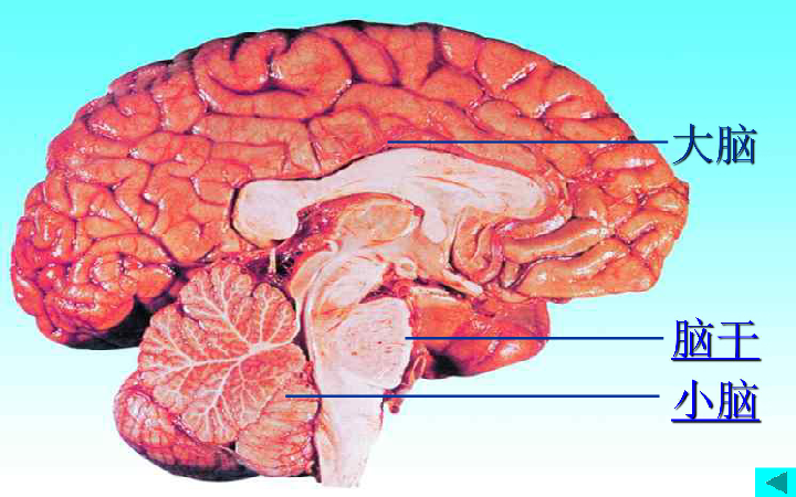 e415eb2486425a68774a6373c0df530d.png