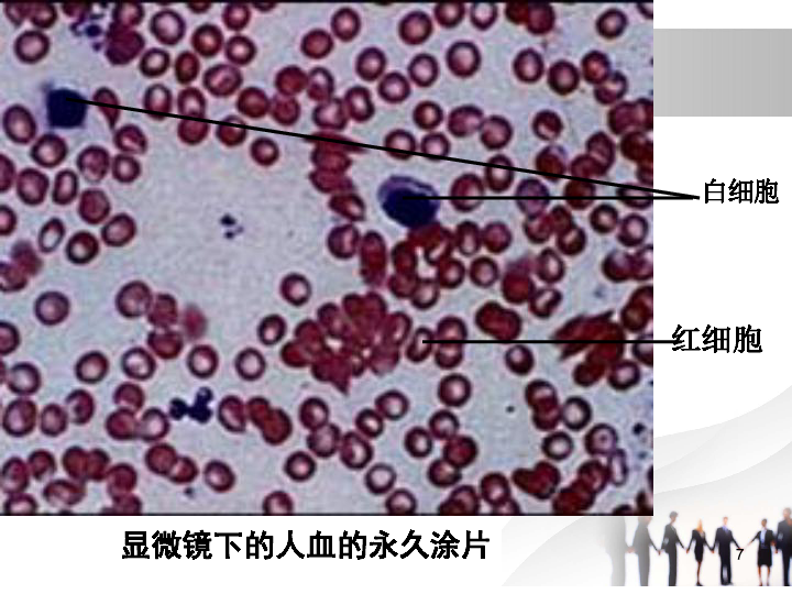 人口流动英文_人口流动(3)