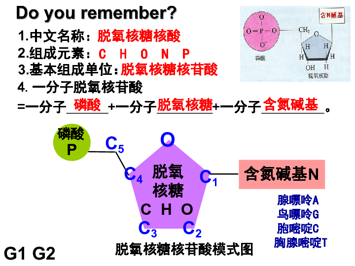 动物生物化学gdp结构_全效免疫系统 海洋所受邀撰写对虾免疫学研究综述(3)