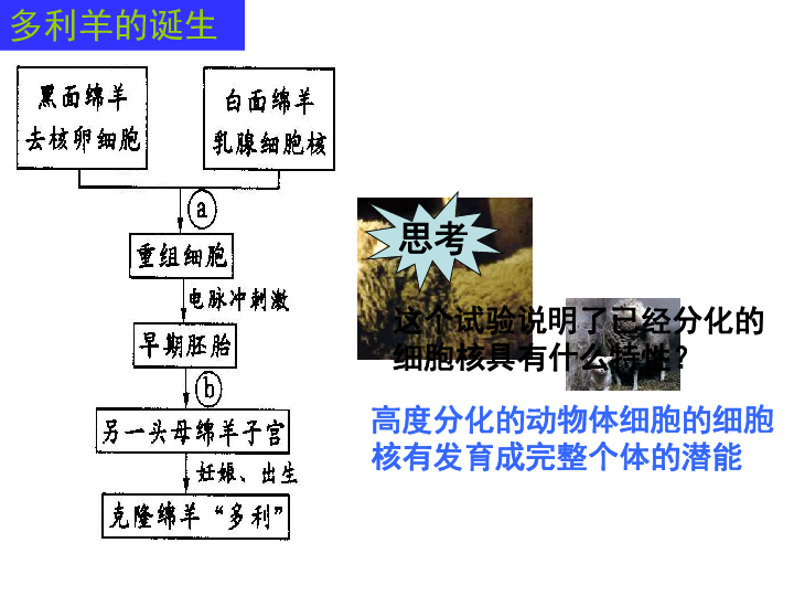 南京人口结构_南京的人口结构与人口红利简析 张辉(3)