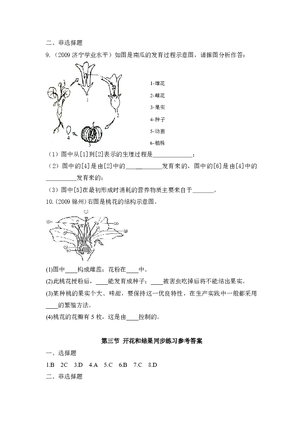 花生猜一成语_花生图片卡通(3)