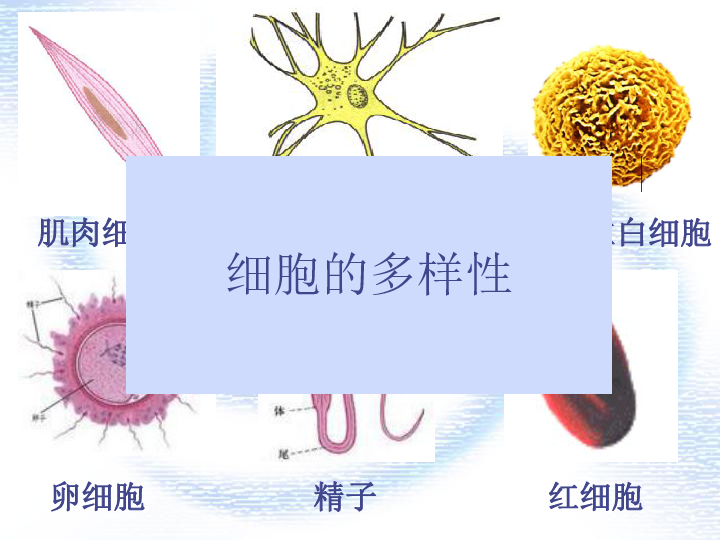 e716d778e5252e719a525cb0044a461e.png