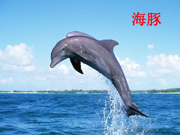 e89645651b5caa37f022555bf1429112.png