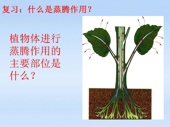 e9ae84c8f4ecf5a686d9c31c918fbe0b.png