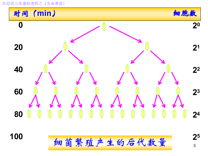 数学建模 人口增长_数学建模(3)