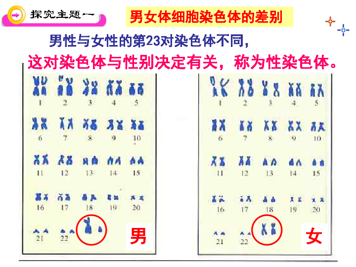 总共几次人口普查_我省第六次全国人口普查主要数据公布,十年共增加三百多万(3)