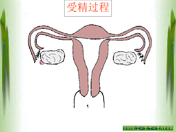 人口与生殖_人口与国情手抄报(2)