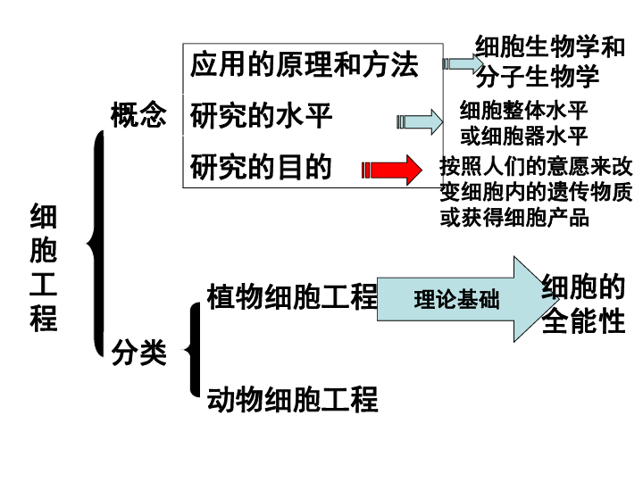 生物工程的基本原理_《发酵原理(第2版)》适合于生物工程、生物技术专业的高年级本科生使用(2)