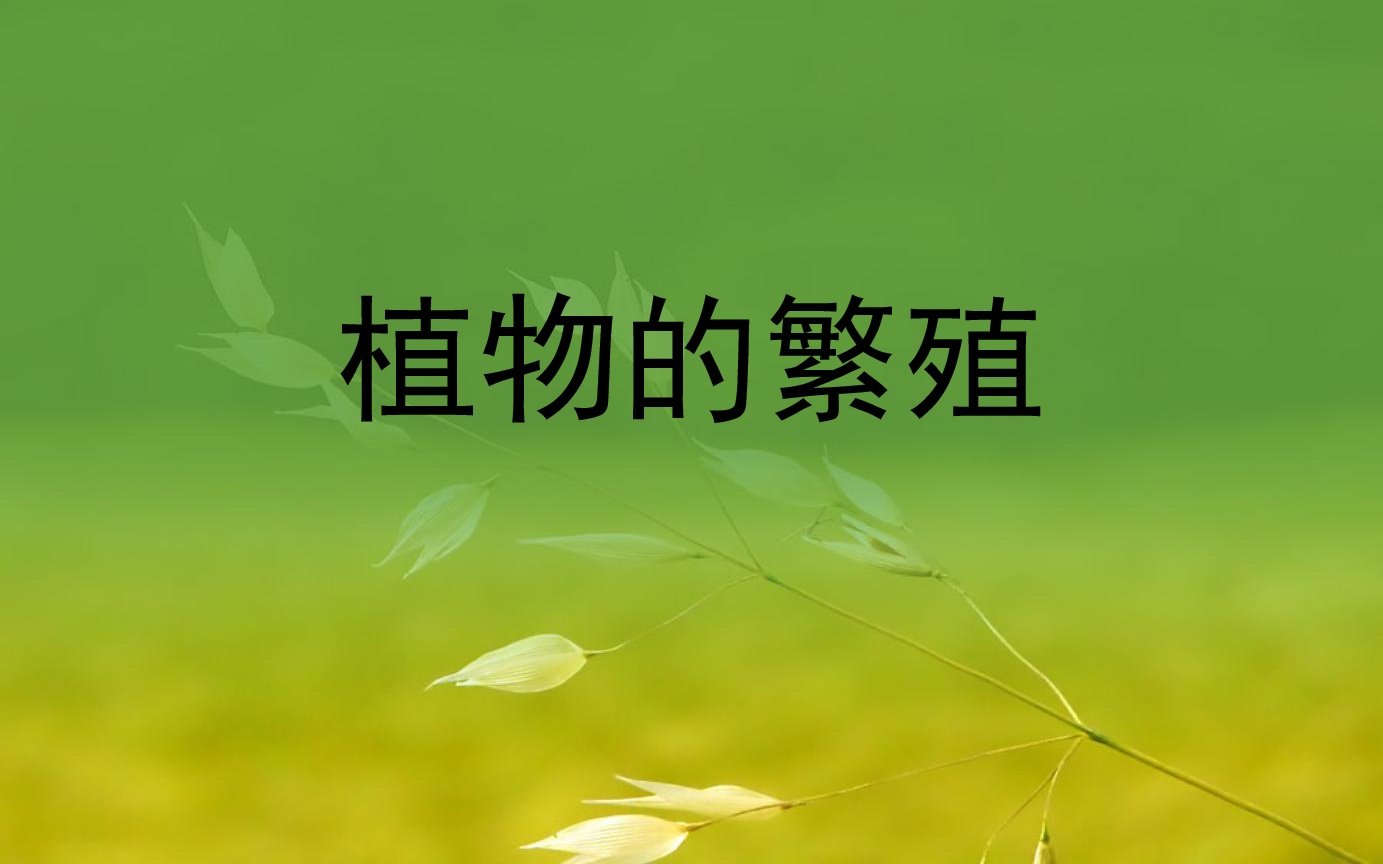 7《植物的繁殖》 课件(30张ppt)