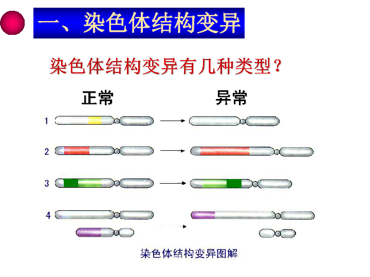 人口结构包括哪些类型_中国人口结构(3)