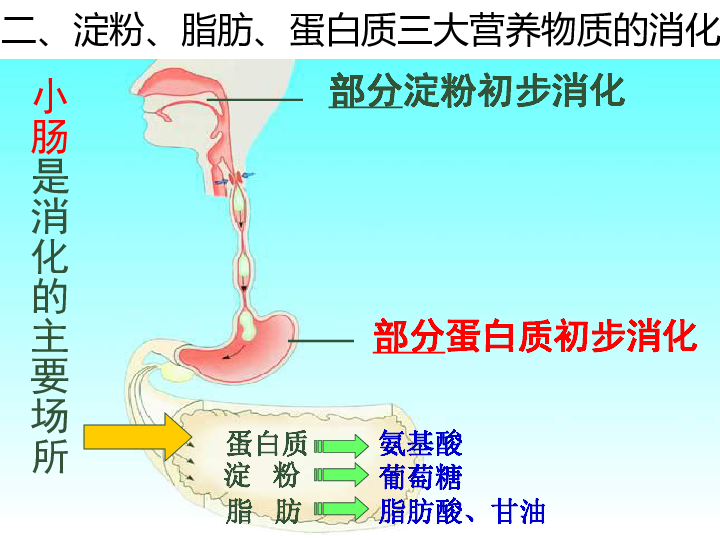 汕头市潮阳区人口_海门镇(3)