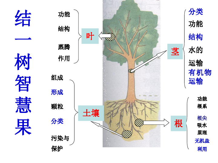 初中科学 浙教版 八年级下册 第4章 植物与土壤 本章综合与测试  [id