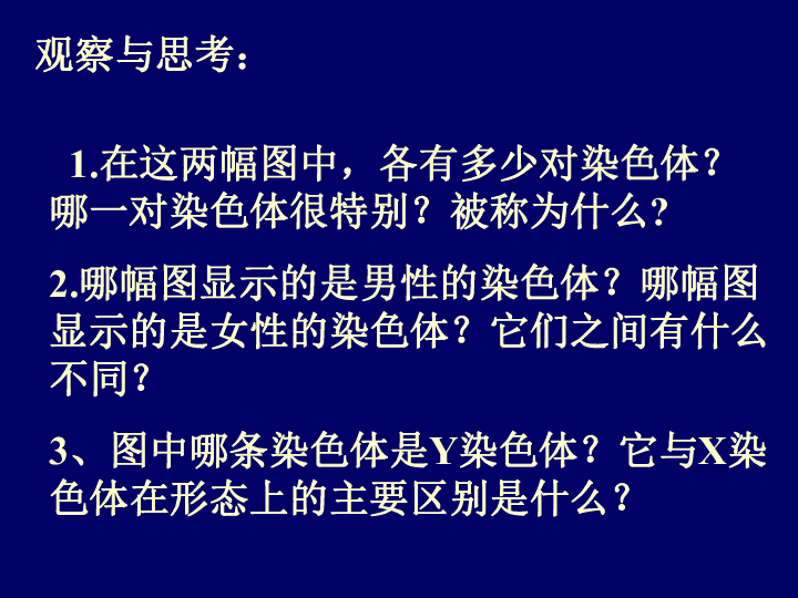 社会性别与人口发展_社会性别与人口发展(3)