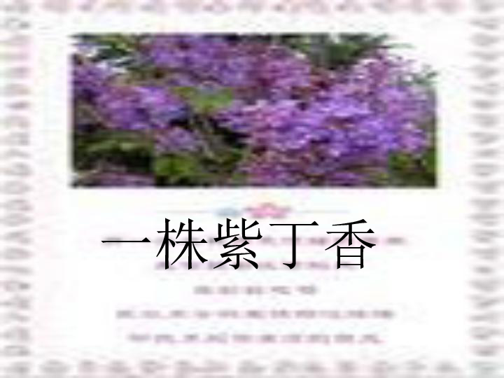 语文二年级上鲁教版5《一株紫丁香》2