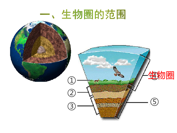 第三节 生物圈是最大的生态系统课件(21张ppt)