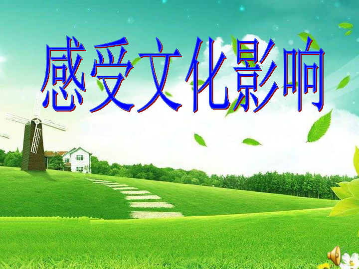 人口对文化的影响_人口普查(3)